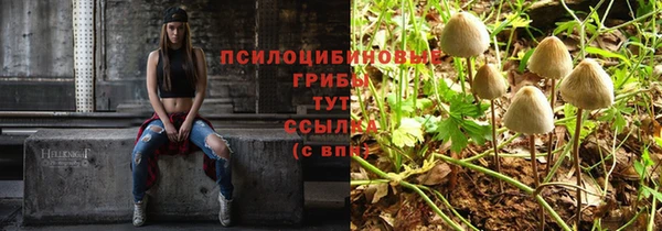 COCAINE Козельск