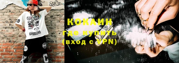 гашик Козловка