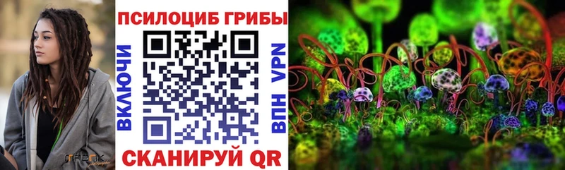 Купить где  Ессентуки  Галлюциногенные грибы Psilocybe 